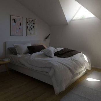 DIALUX (VELUX)